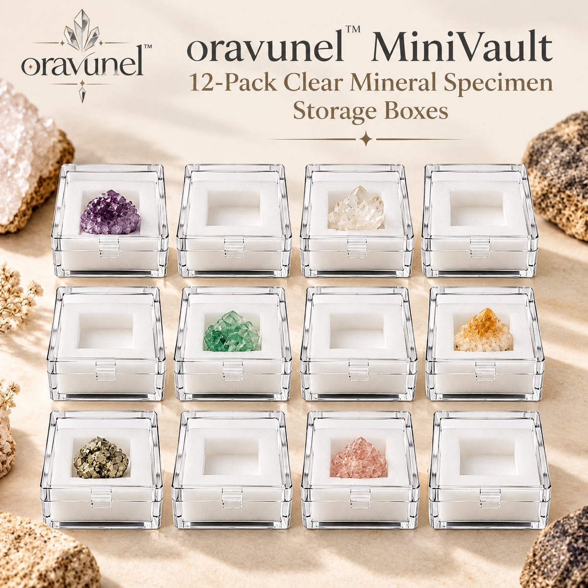 oravunel™ MiniVault 12-Pack Clear Mineral Specimen Storage Boxes