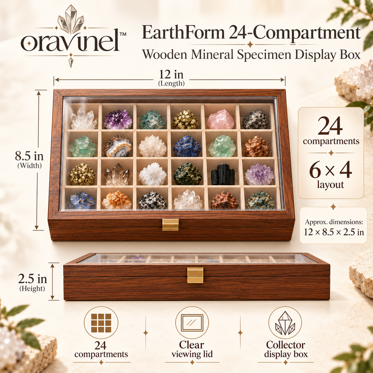 oravunel™ EarthForm 24-Compartment Wooden Mineral Specimen Display Box